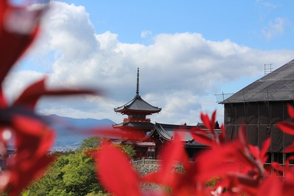 Гора Фудзияма в Японии рассвет