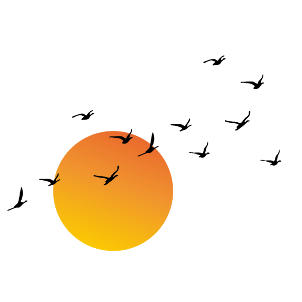 Цитаты про солнышко