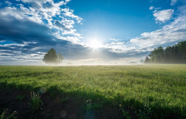 Яркое солнце