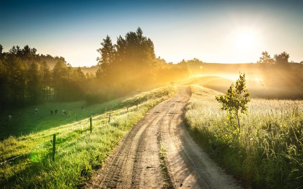 Летний пейзаж