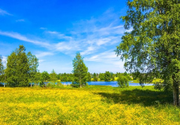 Утренний пейзаж