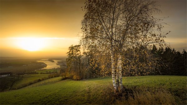 Летний рассвет