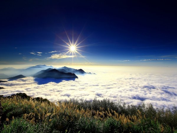 Альпийские Луга Франции