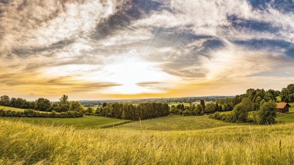 Поле в деревне закат