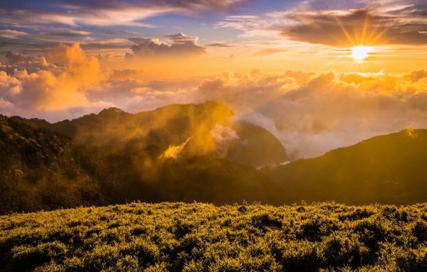 Телевизор Harper 32ro770wu 32"