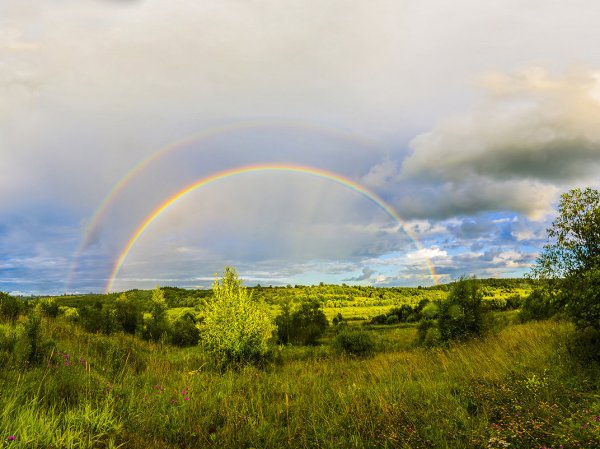 Радуга после дождя