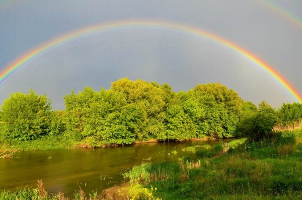 Дождь для радуги