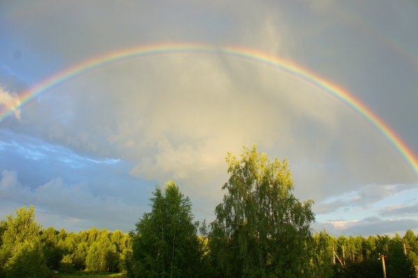 Радуга Рейнбоу в России