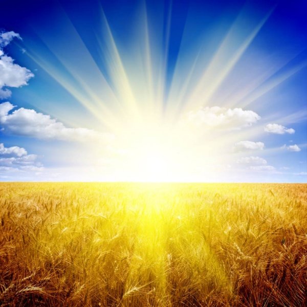 Солнечное небо