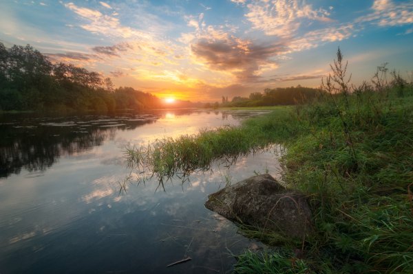 Река Луга Новгородская область