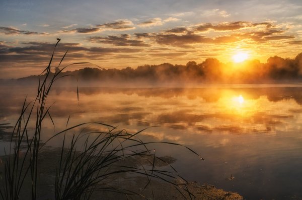 Рассвет над рекой