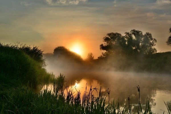 Туман над рекой