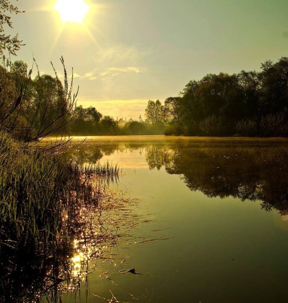 Река Проня Рязанской области берег