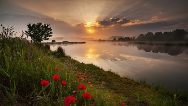 Рассвет на реке