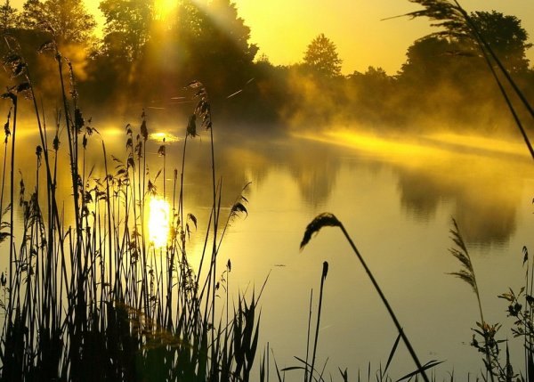 Раннее летнее утро