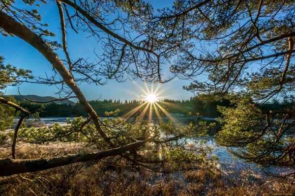 Отражение солнца в воде