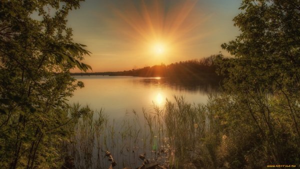 Дивный вечер