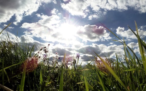 Солнечное небо