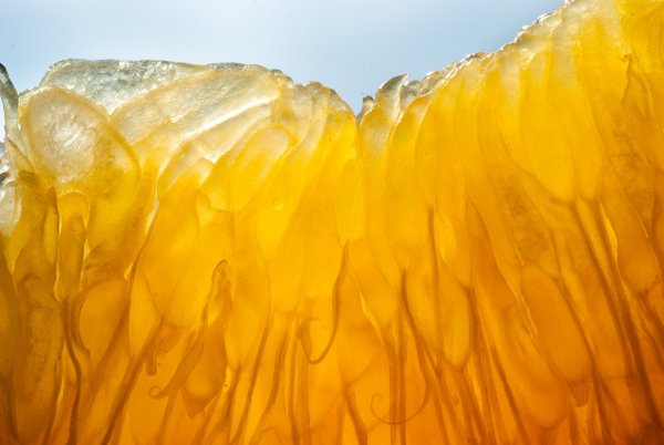 Манго желтое Макросъемка