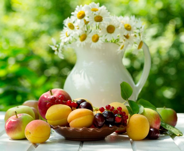 Доброе утро лето