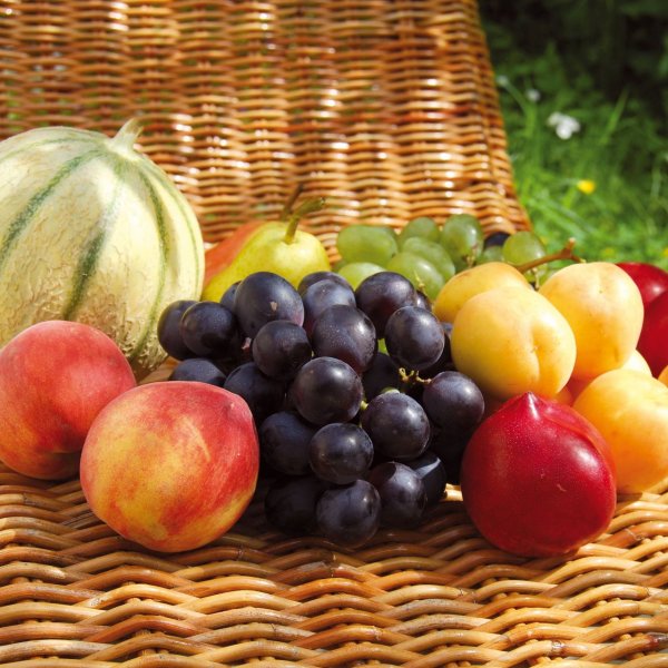 Ассорти фруктов лето