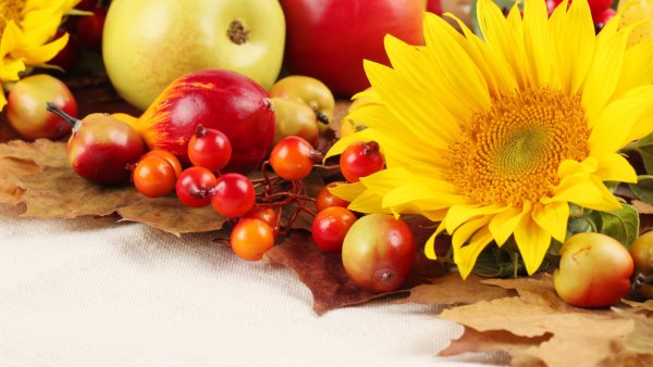 Осенние цветы и фрукты
