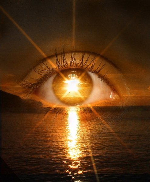 Солнечный свет