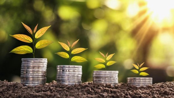 Солнышко с деньгами