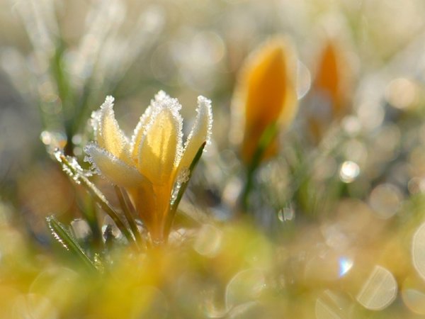 Солнечный весенний день