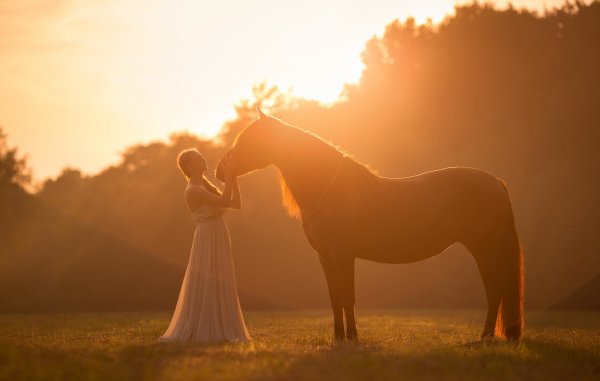 Девушка на лошади на закате