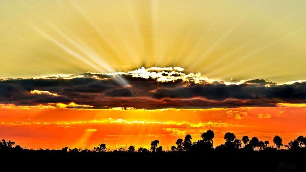 Небо рассвет