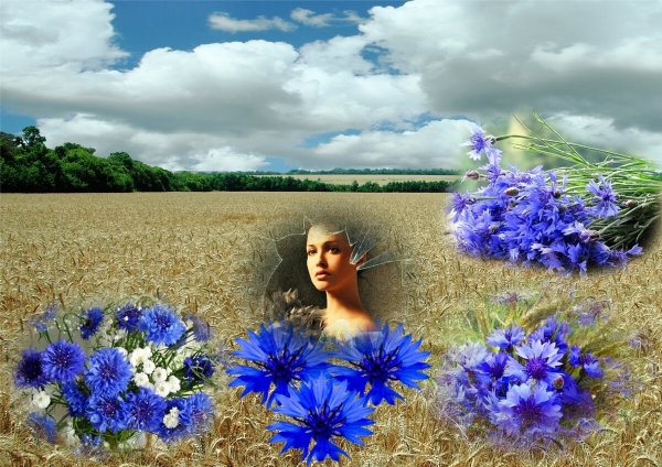 Фотосессия с васильками