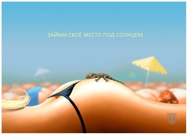 Займи свое место под солнцем