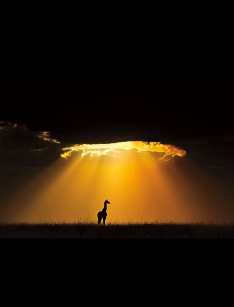 Место под солнцем картинки