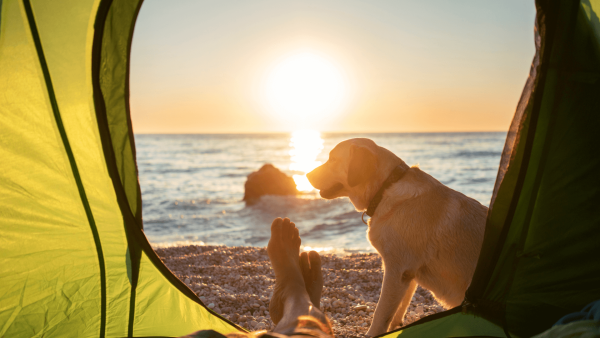 Место под солнцем картинки