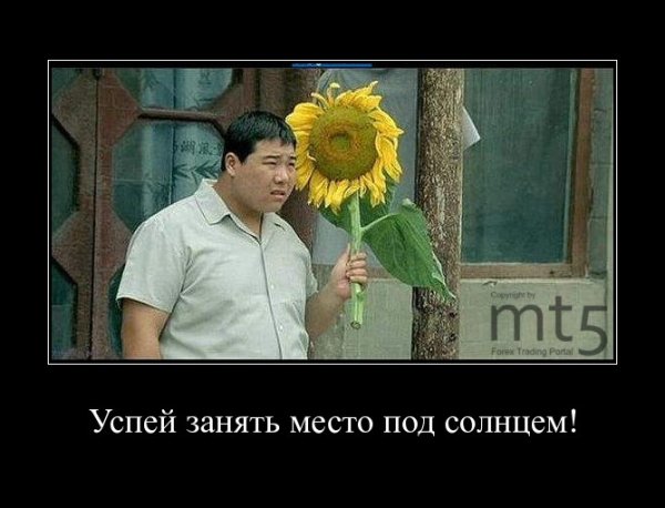 Свое место под солнцем