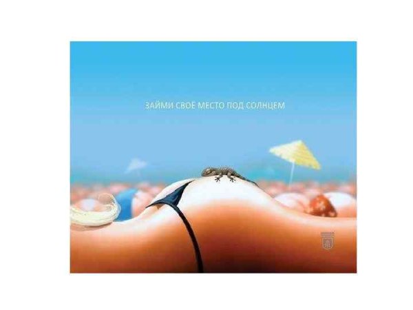 Свое место под солнцем