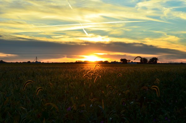 Поле вечер закат