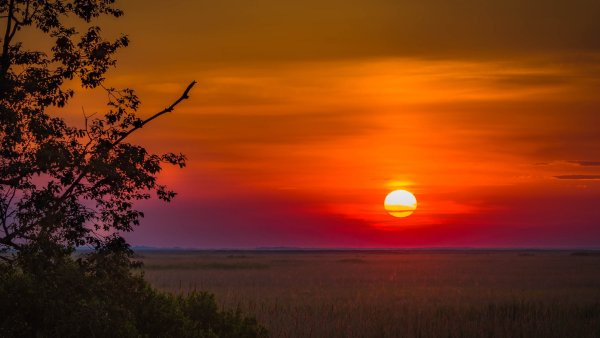 Закат в поле