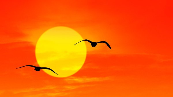 Эдвард Григ утро рисунок