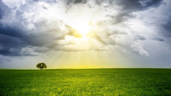 Облака над полем