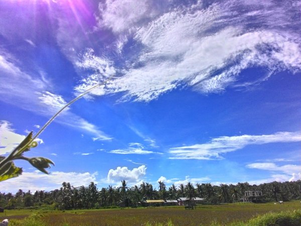 Лето на ветер