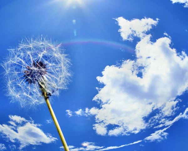 Солнышко и тучка