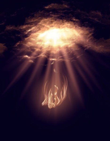 Рука тянется к свету