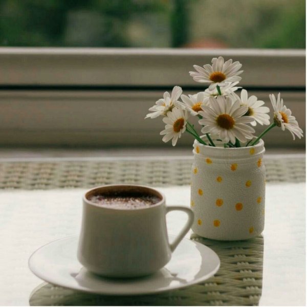 Ромашки и кофе