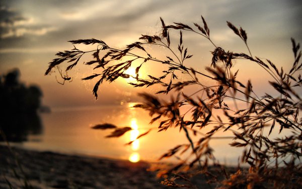 Природа закат