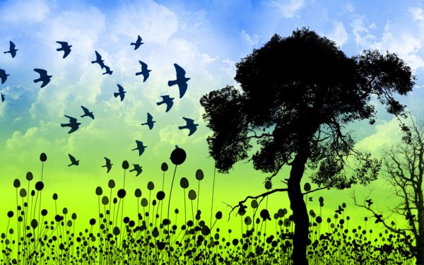 Мир природы. Птицы