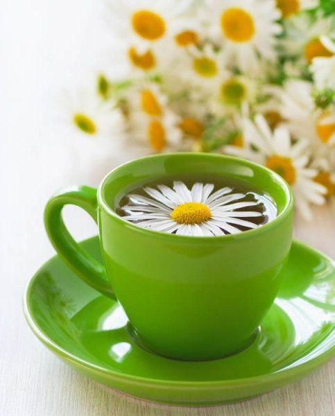 Утреннее окно