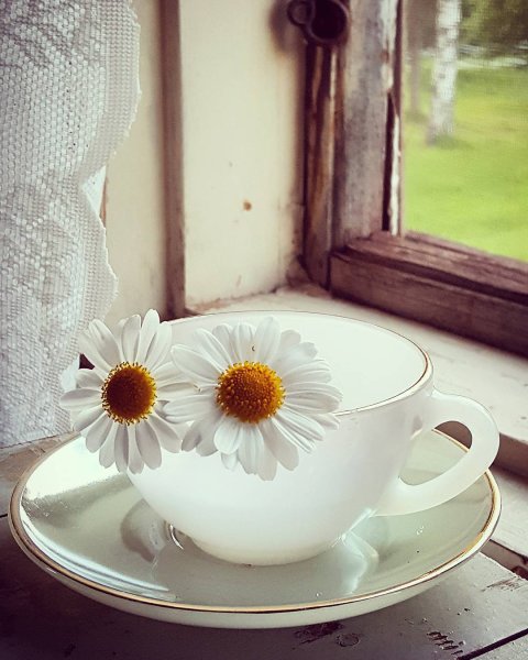 Осень дождь кофе