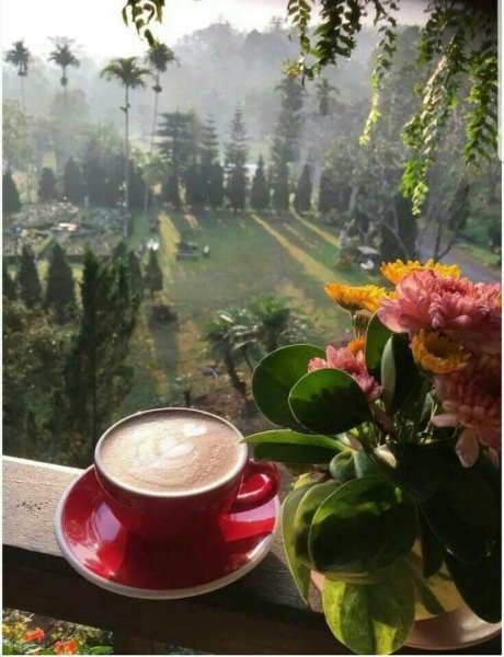 Утренний завтрак на природе